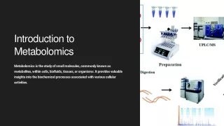 What Are the 3 Techniques Used in Metabolomics?