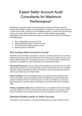 Expert Seller Account Audit Consultants for Maximum Performance_ - Google Docs