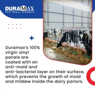 Vinyl Panels Are the One to Ensure Top-Notch Sanitization inside a Dairy Parlor