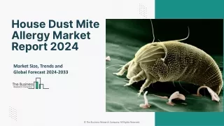 Global House Dust Mite Allergy Market Size, Status, And Future Forecast To 2033
