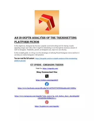 An In-Depth Analysis of the Trendsetting Platform picnob