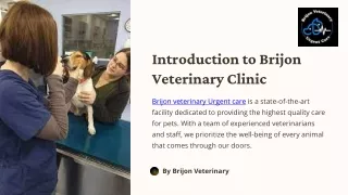 Introduction-to-Brijon-Veterinary-Clinic.pptx