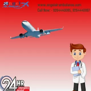 Angel Air Ambulance Service in Bagdogra And Vellore