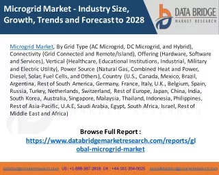 Microgrid Market