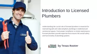 The Role of Licensed Plumbers in Euless Ensuring Safe and Code-Compliant