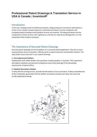 Professional Patent Drawings & Translation Service in USA & Canada | InventionIP