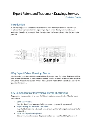 Expert Patent and Trademark Drawings Service | The Patent Experts