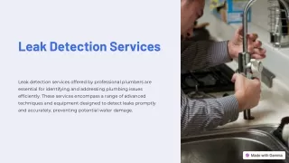 Leak Detection Services