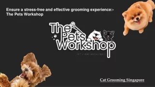 Ensure a stress-free and effective grooming experience The Pets Workshop