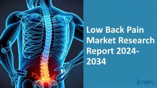 Low Back Pain Market 2024 2034