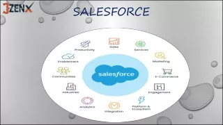 Salesforce institute in Hyderabad with palcement