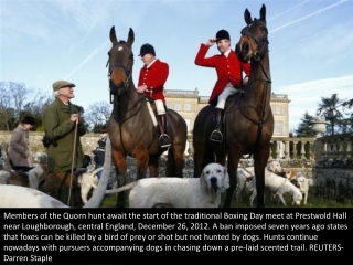 Boxing Day hunt