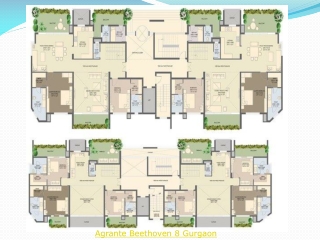 Beethoven 8 Gurgaon Call 91-9650268727