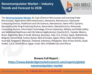 Nanomanipulator Market