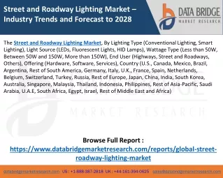 Street and Roadway Lighting Market