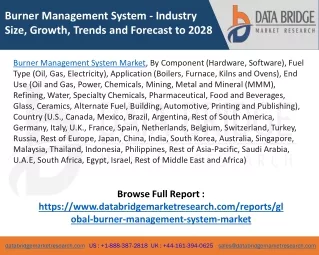Burner Management System Market
