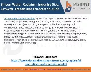 Silicon Wafer Reclaim Market