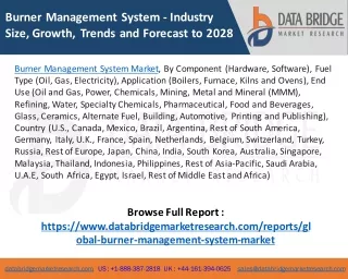Burner Management System Market