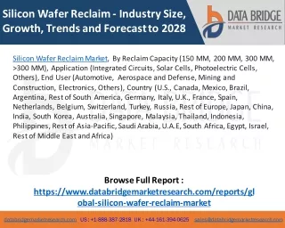 Silicon Wafer Reclaim Market