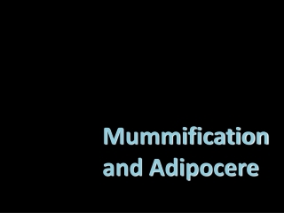 Mummification and Adipocere