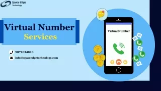 What is Virtual Number?
