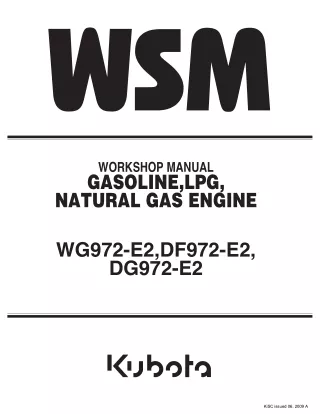 Kubota DF972-E2 Natural Gas Engine Service Repair Manual