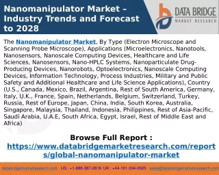 Nanomanipulator Market