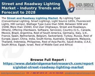 Street and Roadway Lighting Market