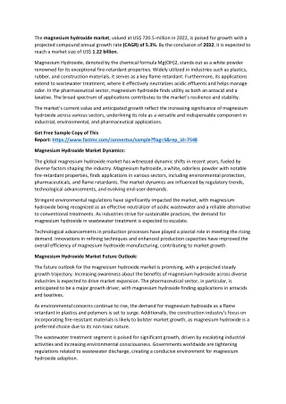 Magnesium Hydroxide Market Revenue Growth Trends, Company Strategy Analysis