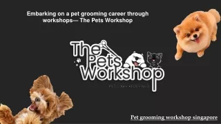 Embarking on a pet grooming career through workshops— The Pets Workshop