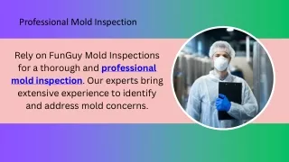 Professional Mold Inspection