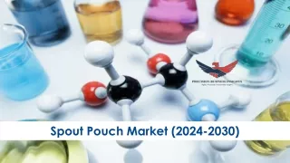 Spout Pouch Market