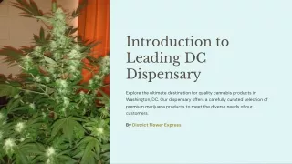 Leading Dc Dispensary - District flower express