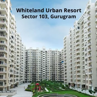 Whiteland Urban Resort Sector 103 Gurgaon - pdf