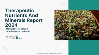 Therapeutic Nutrients And Minerals Market Size, Share, Growth And Forecast 2024