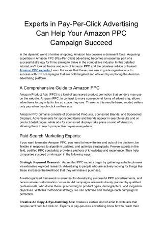 Experts in Pay-Per-Click Advertising Can Help Your Amazon PPC Campaign Succeed - Google Docs