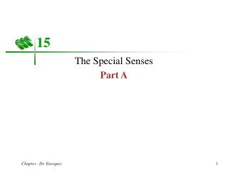 The Special Senses Part A
