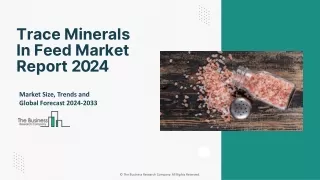 Trace Minerals in Feed Market Opportunities and Strategies 2024-2033: Size