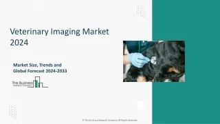 Veterinary Imaging