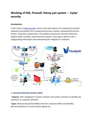 Working on IDS -Cyber Security