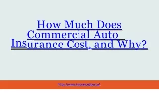 How Much Does Commercial Auto Insurance Cost, and _240126_123313