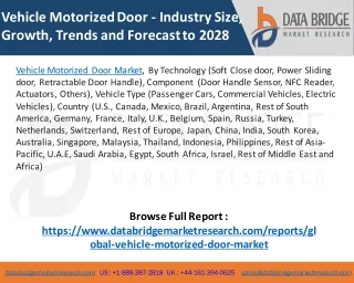 Vehicle Motorized Door Market