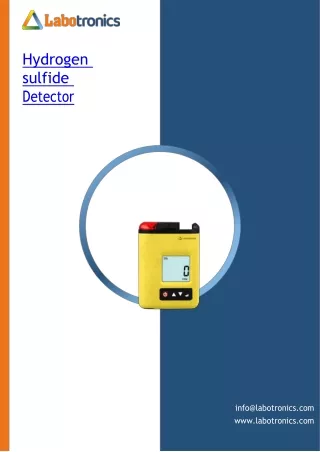 Hydrogen-sulfide-Detector