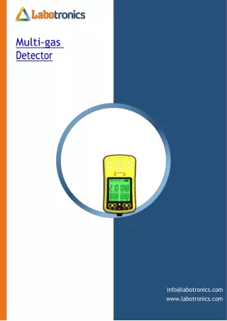 Multi-gas-Detector