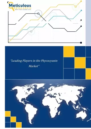 Leading Players in the Phycocyanin  Market”