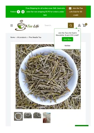 Pine Needle Tea