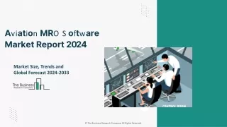 Aviation MRO Software Market Growth Drivers, Size, Share and Forecast 2024-2033