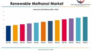 Renewable Methanol Market