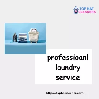 professioanl laundry service