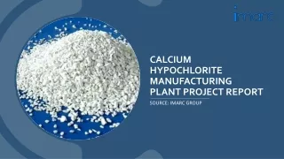 Calcium Hypochlorite Manufacturing Plant Report PDF 2024: Industry Trends